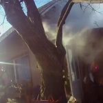 WhatsApp Image 2025 02 20 at 11.12.11