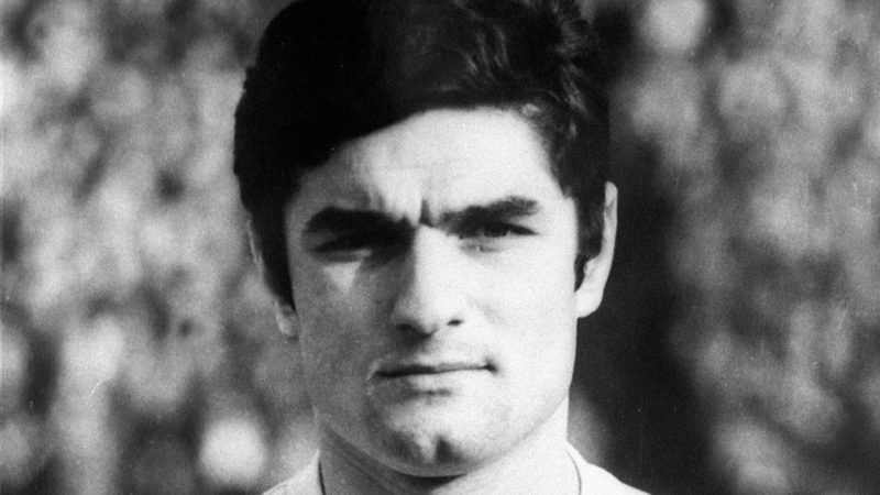 Lajos satmareanu imago