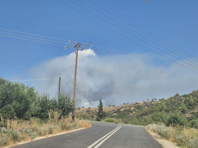 Whatsapp image 2025 07 02 at 17 27 53 62540900