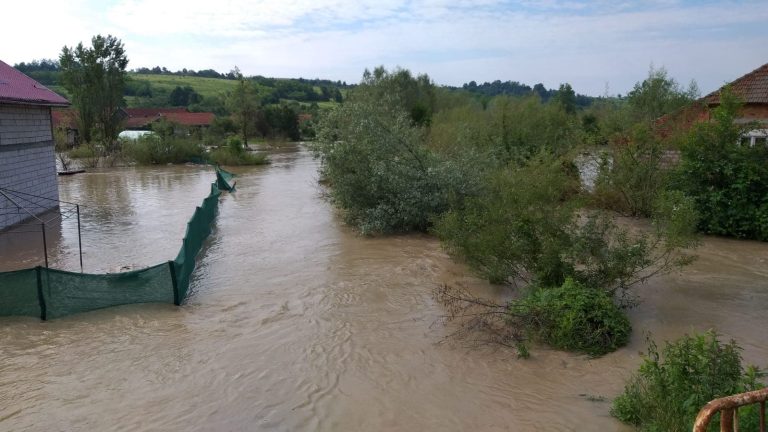 Ohaba lunga inundatii 7