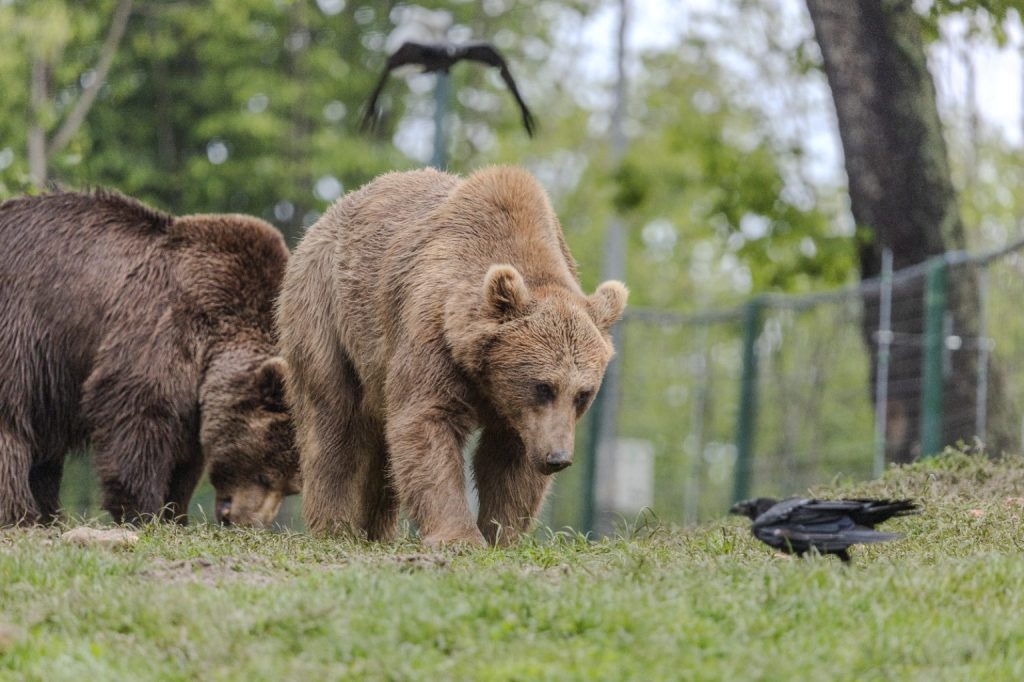 WhatsApp Image 2025 10 13 at 10.45.10 43c72ad8 1536x1023