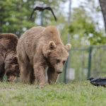 WhatsApp Image 2025 10 13 at 10.45.10 43c72ad8 1536x1023