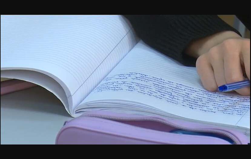 Opera Snapshot 2026 02 20 083703 scoala 1 824x429.jpg