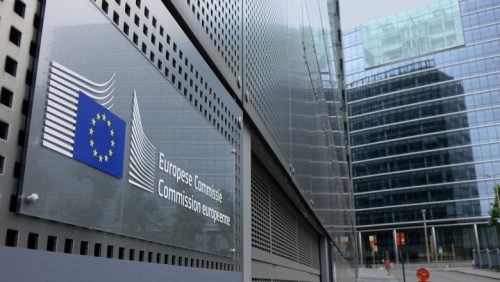 Cine ne sapă? Comisia Europeană acuză România că ar exporta ovine bolnave în țările vecine