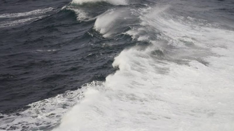 Img (2)